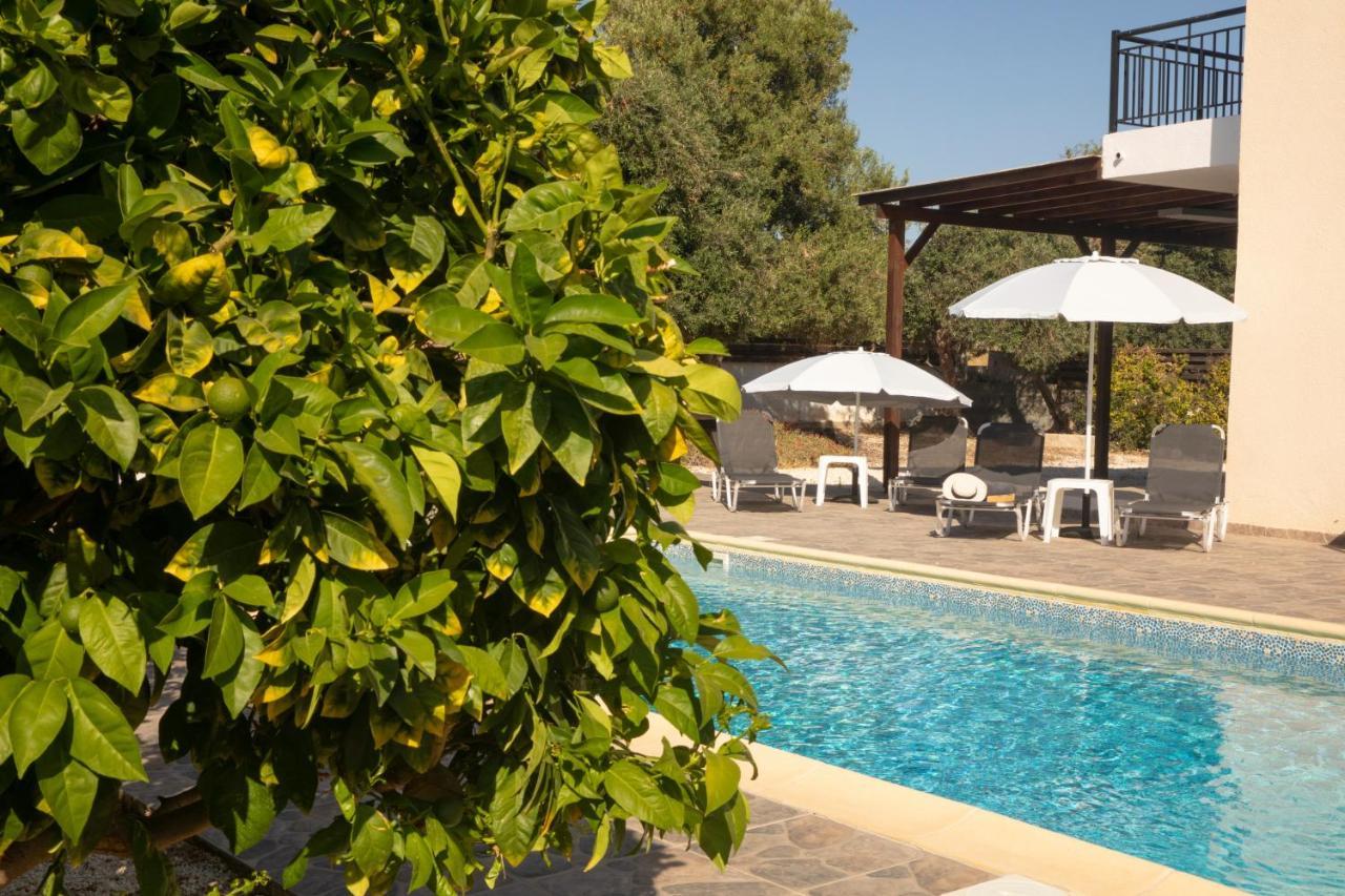 Villa Gavalas Peyia Extérieur photo